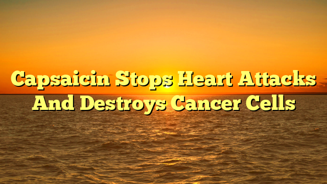 Capsaicin Stops Heart Attacks And Destroys Cancer Cells