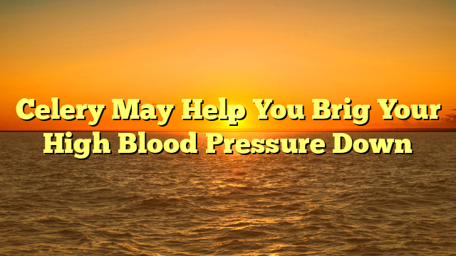Celery May Help You Brig Your High Blood Pressure Down