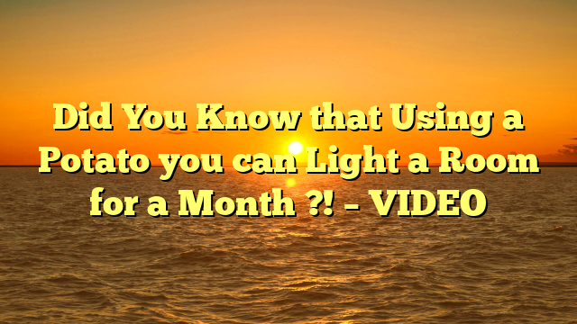 Did You Know that Using a Potato you can Light a Room for a Month ?! – VIDEO
