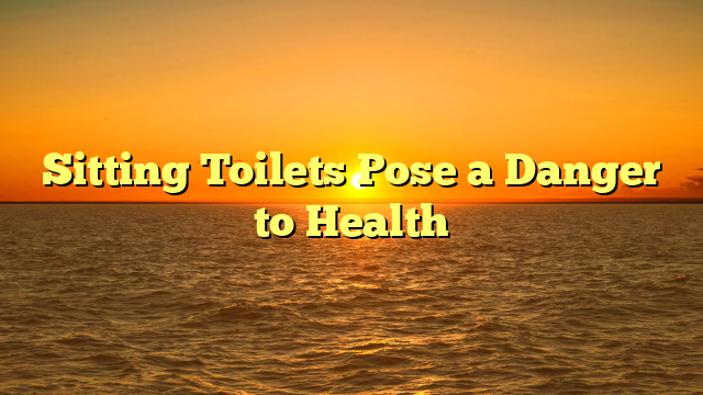 Sitting Toilets Pose a Danger to Health