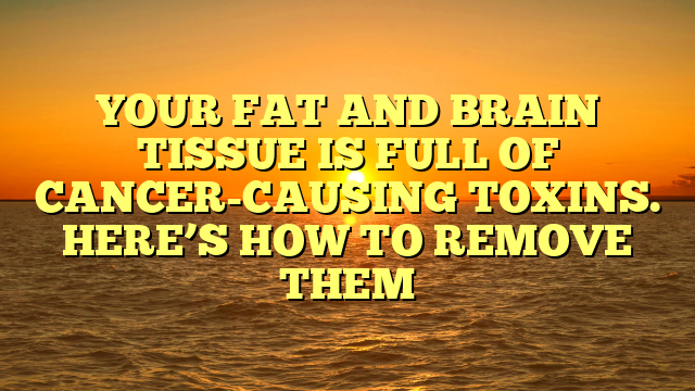 YOUR FAT AND BRAIN TISSUE IS FULL OF CANCER-CAUSING TOXINS. HERE’S HOW TO REMOVE THEM